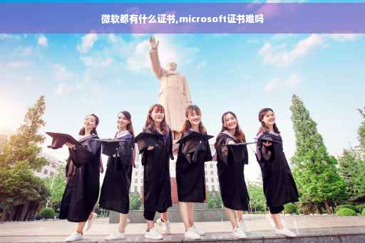 微软都有什么证书,microsoft证书难吗