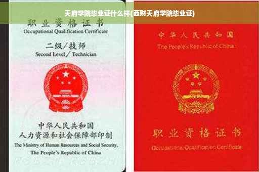 天府学院毕业证什么样(西财天府学院毕业证)