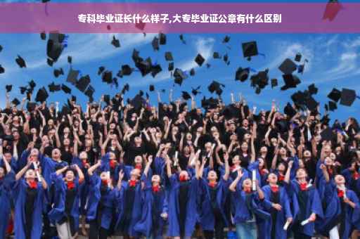 专科毕业证长什么样子,大专毕业证公章有什么区别