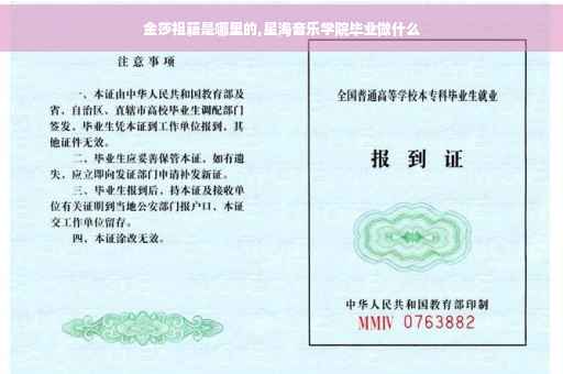 金莎祖籍是哪里的,星海音乐学院毕业做什么