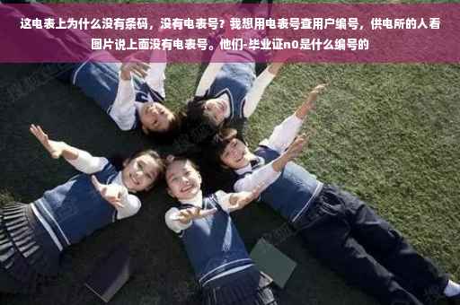 这电表上为什么没有条码，没有电表号？我想用电表号查用户编号，供电所的人看图片说上面没有电表号。他们-毕业证n0是什么编号的