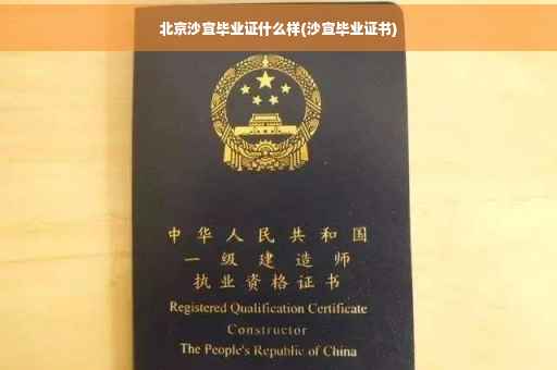 北京沙宣毕业证什么样(沙宣毕业证书)
