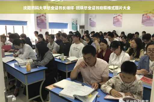沈阳药科大学毕业证书长啥样-班级毕业证书拍照格式图片大全