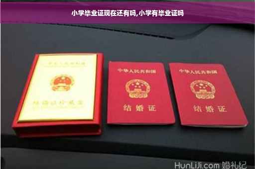 小学毕业证现在还有吗,小学有毕业证吗