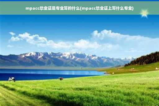 mpacc毕业证是专业写的什么(mpacc毕业证上写什么专业)