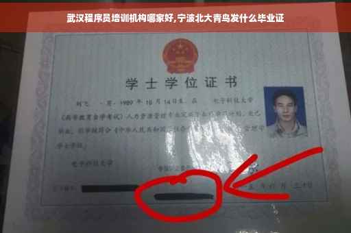 武汉程序员培训机构哪家好,宁波北大青鸟发什么毕业证