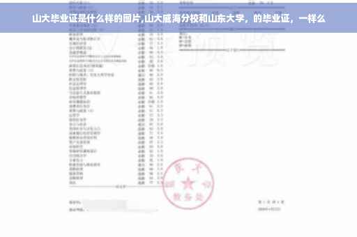 山大毕业证是什么样的图片,山大威海分校和山东大学，的毕业证，一样么