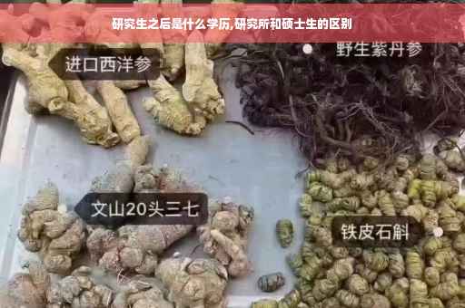 研究生之后是什么学历,研究所和硕士生的区别