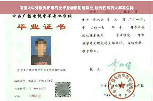哈医大中外联办护理专业毕业后都到哪就业,联办性质的大学怎么样