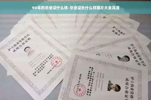 90年的毕业证什么样-毕业证长什么样图片大全高清
