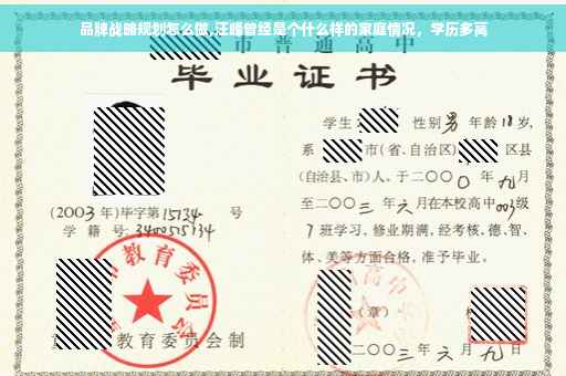 品牌战略规划怎么做,汪峰曾经是个什么样的家庭情况，学历多高