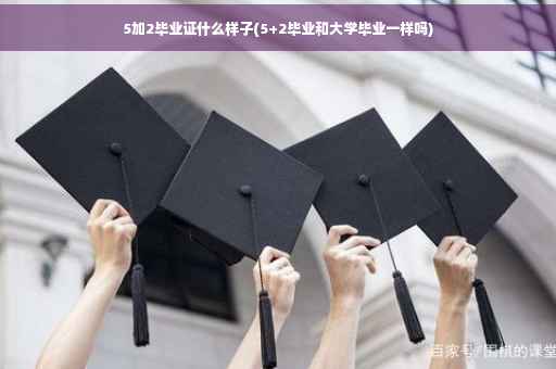 5加2毕业证什么样子(5+2毕业和大学毕业一样吗)