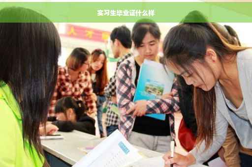 实习生毕业证什么样