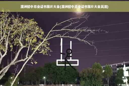 澳洲初中毕业证书图片大全(澳洲初中毕业证书图片大全高清)