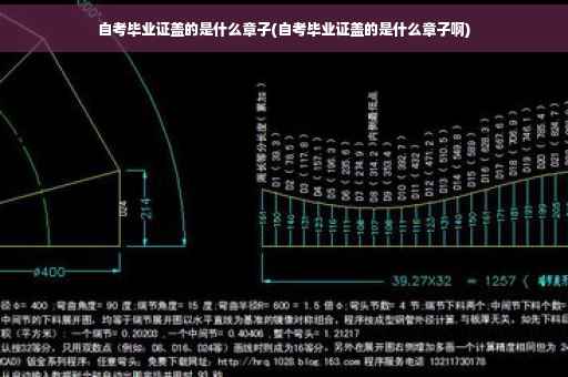 自考毕业证盖的是什么章子(自考毕业证盖的是什么章子啊)