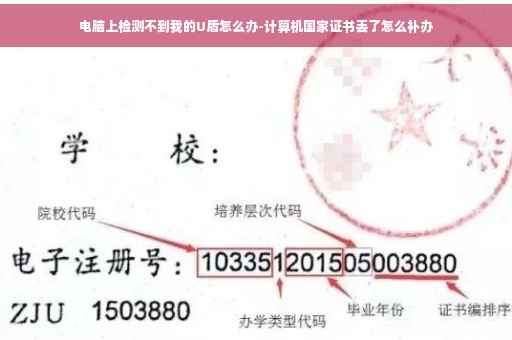 电脑上检测不到我的U盾怎么办-计算机国家证书丢了怎么补办