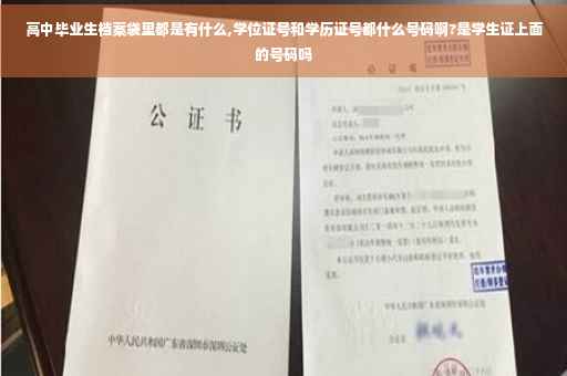 高中毕业生档案袋里都是有什么,学位证号和学历证号都什么号码啊?是学生证上面的号码吗