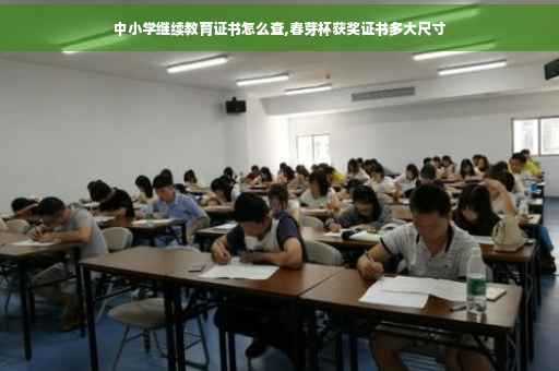 中小学继续教育证书怎么查,春芽杯获奖证书多大尺寸