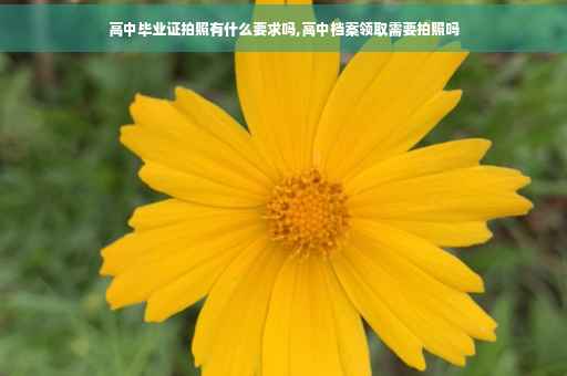 高中毕业证拍照有什么要求吗,高中档案领取需要拍照吗