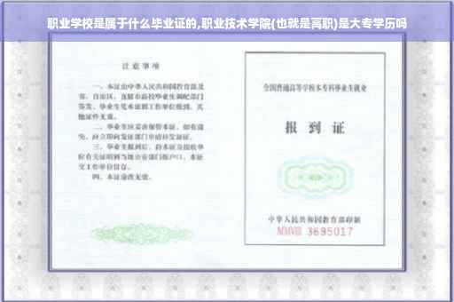 职业学校是属于什么毕业证的,职业技术学院(也就是高职)是大专学历吗