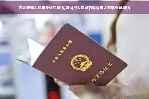 怎么查询大专毕业证的真伪,如何用大专证书编号查大专毕业证真伪