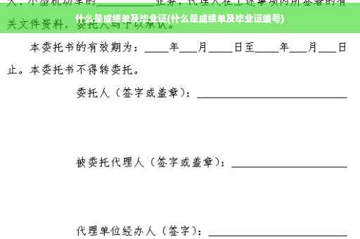 什么是成绩单及毕业证(什么是成绩单及毕业证编号)