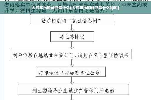 大专学历的证书是什么(大专学历的证书是什么样的)