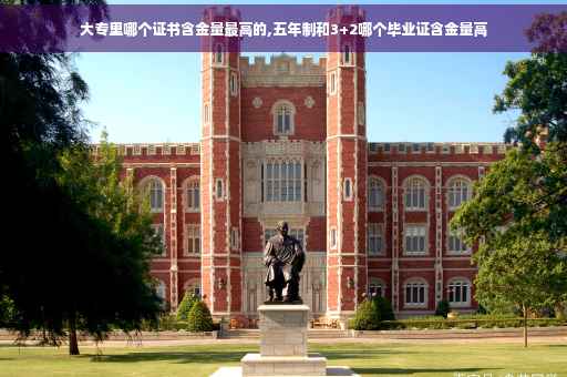 大专里哪个证书含金量最高的,五年制和3+2哪个毕业证含金量高