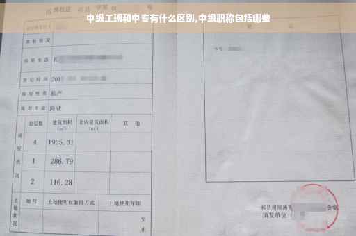 中级工班和中专有什么区别,中级职称包括哪些