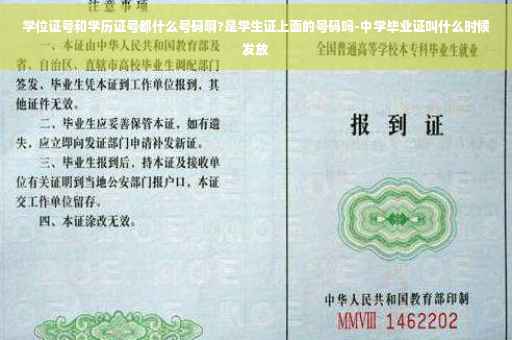 学位证号和学历证号都什么号码啊?是学生证上面的号码吗-中学毕业证叫什么时候发放