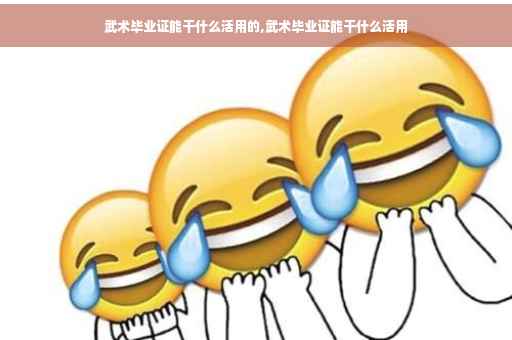 武术毕业证能干什么活用的,武术毕业证能干什么活用