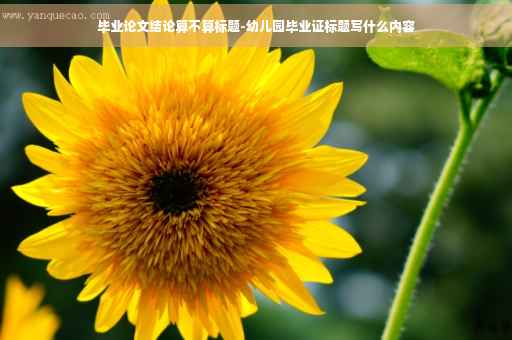 毕业论文结论算不算标题-幼儿园毕业证标题写什么内容