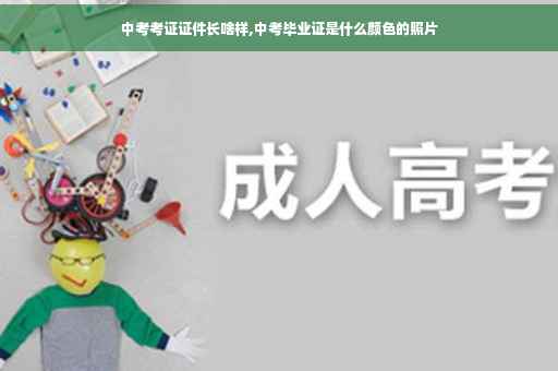 中考考证证件长啥样,中考毕业证是什么颜色的照片