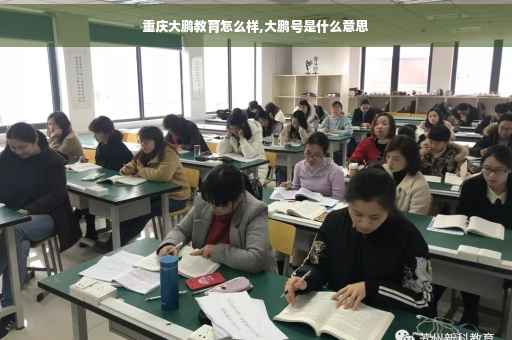 重庆大鹏教育怎么样,大鹏号是什么意思