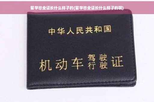 留学毕业证长什么样子的(留学毕业证长什么样子的啊)