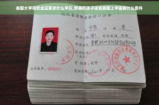 泰国大学领毕业证要求什么学历,想要把孩子送去泰国上学需要什么条件