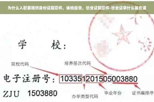 为什么入职要提供身份证复印件，体检报告，毕业证复印件-毕业证拿什么装合适