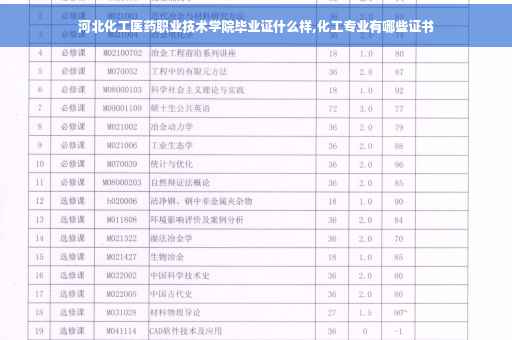 河北化工医药职业技术学院毕业证什么样,化工专业有哪些证书