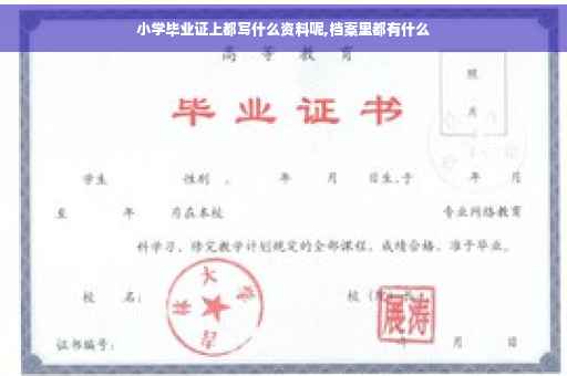 小学毕业证上都写什么资料呢,档案里都有什么