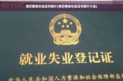南艺播音毕业证书图片(南艺播音毕业证书图片大全)