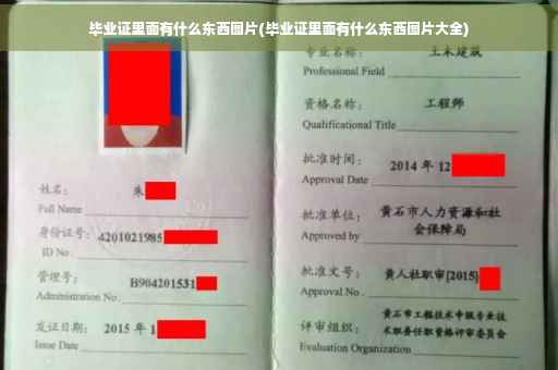 毕业证里面有什么东西图片(毕业证里面有什么东西图片大全)