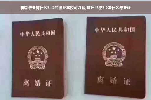 初中毕业有什么3+2的职业学校可以读,庐州卫校3 2发什么毕业证