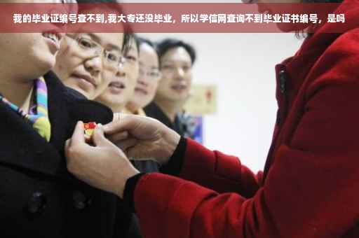 我的毕业证编号查不到,我大专还没毕业，所以学信网查询不到毕业证书编号，是吗