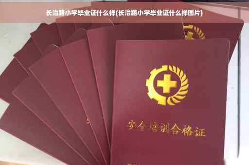 长治路小学毕业证什么样(长治路小学毕业证什么样图片)