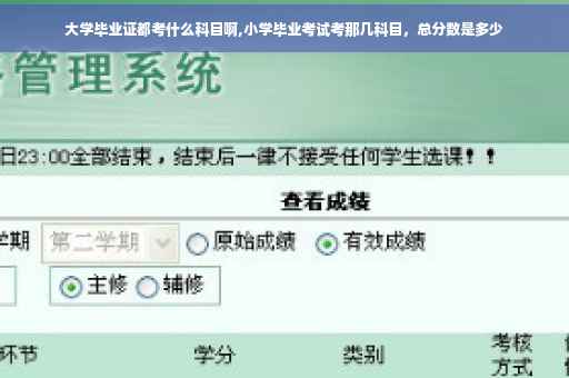 大学毕业证都考什么科目啊,小学毕业考试考那几科目，总分数是多少