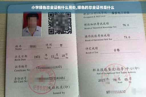 小学绿色毕业证有什么用处,绿色的毕业证书是什么