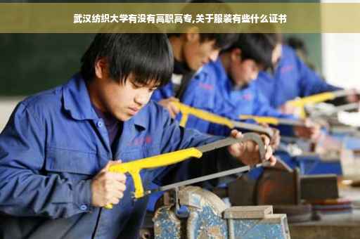 武汉纺织大学有没有高职高专,关于服装有些什么证书