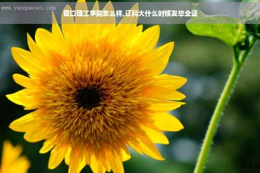 营口理工学院怎么样,辽科大什么时候发毕业证
