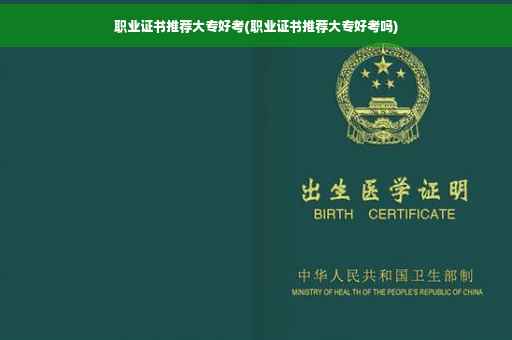 职业证书推荐大专好考(职业证书推荐大专好考吗)