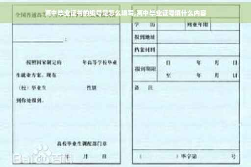 高中毕业证书的编号是怎么填写,高中毕业证号填什么内容
